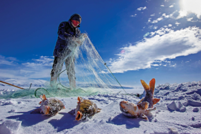 8. TARIM VE İNSAN FOTOĞRAF YARIŞMASI - Esra TÜRKDÖNMEZ