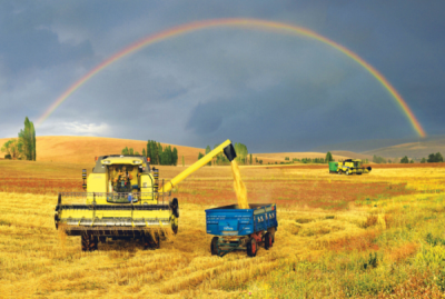8. TARIM VE İNSAN FOTOĞRAF YARIŞMASI - Mehmet ÖZDEMİR
