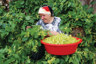 8. TARIM VE İNSAN FOTOĞRAF YARIŞMASI - Dursun Ali AKPINAR