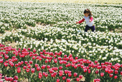8. TARIM VE İNSAN FOTOĞRAF YARIŞMASI - Celal Gezici