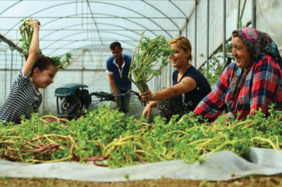 8. TARIM VE İNSAN FOTOĞRAF YARIŞMASI - Gökhan DENİZ