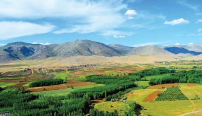 8. TARIM VE İNSAN FOTOĞRAF YARIŞMASI - Hülya ARSLAN