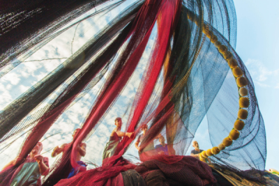 8. TARIM VE İNSAN FOTOĞRAF YARIŞMASI - İlhan Turan