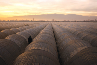 9. TARIM VE İNSAN FOTOĞRAF YARIŞMASI - Muhammet CEYLAN