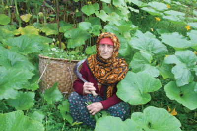 9. TARIM VE İNSAN FOTOĞRAF YARIŞMASI - Dursun ALİ