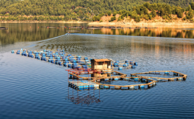 9. TARIM VE İNSAN FOTOĞRAF YARIŞMASI - Ekrem ŞAHİN