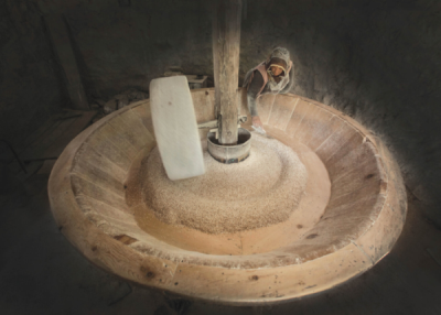 9. TARIM VE İNSAN FOTOĞRAF YARIŞMASI - Hakan YARALI