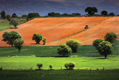 9. TARIM VE İNSAN FOTOĞRAF YARIŞMASI - Hasan ZER