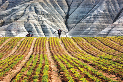 9. TARIM VE İNSAN FOTOĞRAF YARIŞMASI - Hasan ZER