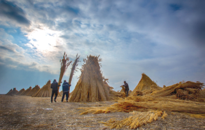 9. TARIM VE İNSAN FOTOĞRAF YARIŞMASI - İbrahim ARSLAN