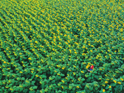 9. TARIM VE İNSAN FOTOĞRAF YARIŞMASI - İhsan KORKUT