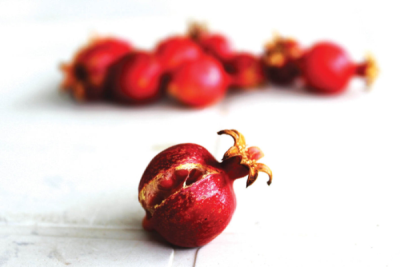 9. TARIM VE İNSAN FOTOĞRAF YARIŞMASI - İlker OCAKTAN