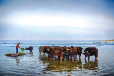 9. TARIM VE İNSAN FOTOĞRAF YARIŞMASI - İskender SELÇUK