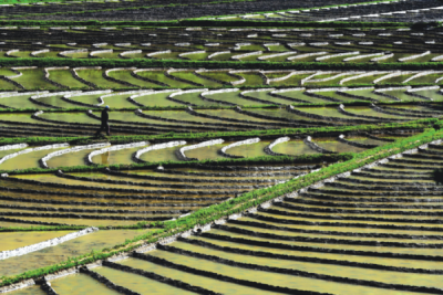 9. TARIM VE İNSAN FOTOĞRAF YARIŞMASI - İskender SELÇUK