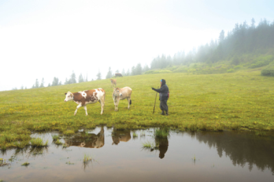 9. TARIM VE İNSAN FOTOĞRAF YARIŞMASI - Muhammet CEYLAN