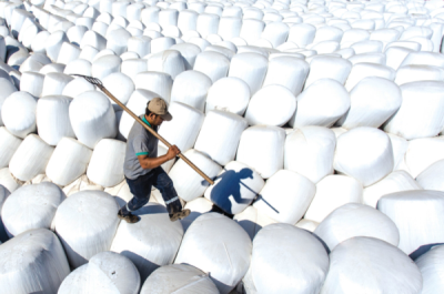 9. TARIM VE İNSAN FOTOĞRAF YARIŞMASI - Mustafa KURTBAŞ