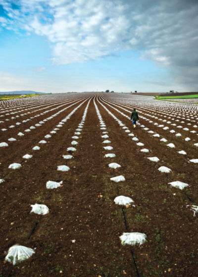 9. TARIM VE İNSAN FOTOĞRAF YARIŞMASI - Mustaf Serdar TAŞKIN