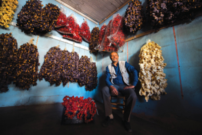 9. TARIM VE İNSAN FOTOĞRAF YARIŞMASI - Nuri ÇORBACIOĞLU