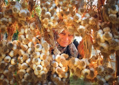9. TARIM VE İNSAN FOTOĞRAF YARIŞMASI - Sabri ALTIN 
