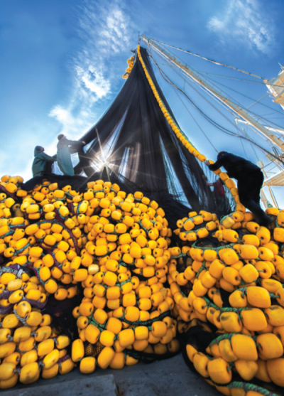 9. TARIM VE İNSAN FOTOĞRAF YARIŞMASI - Sadık CAN
