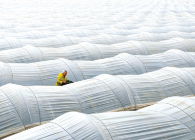 9. TARIM VE İNSAN FOTOĞRAF YARIŞMASI - Salim ŞİMŞEK