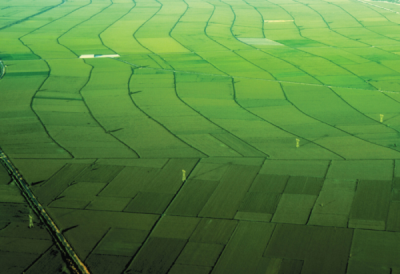 9. TARIM VE İNSAN FOTOĞRAF YARIŞMASI - Taşkın MİŞE