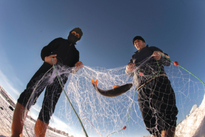 9. TARIM VE İNSAN FOTOĞRAF YARIŞMASI - Ufuk SEFEROĞLU