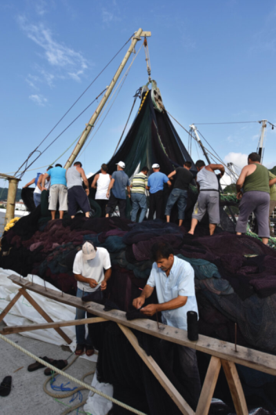 9. TARIM VE İNSAN FOTOĞRAF YARIŞMASI - Ümit KATAKE