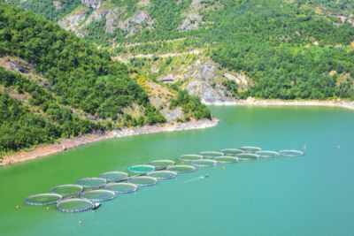 9. TARIM VE İNSAN FOTOĞRAF YARIŞMASI - Yusuf YILMAZ