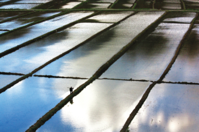 9. TARIM VE İNSAN FOTOĞRAF YARIŞMASI - Ali ACAR