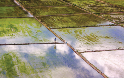 9. TARIM VE İNSAN FOTOĞRAF YARIŞMASI - Ali ACAR