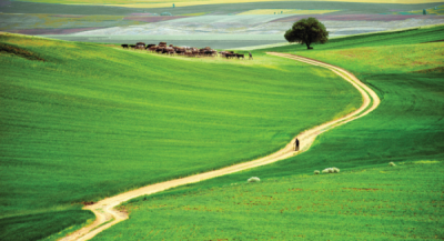 9. TARIM VE İNSAN FOTOĞRAF YARIŞMASI - Ahmet  Turan KURAL