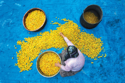 9. TARIM VE İNSAN FOTOĞRAF YARIŞMASI - Ali ASLAN