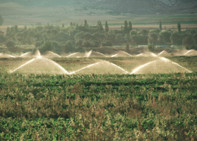 9. TARIM VE İNSAN FOTOĞRAF YARIŞMASI - Arzu ÖZER