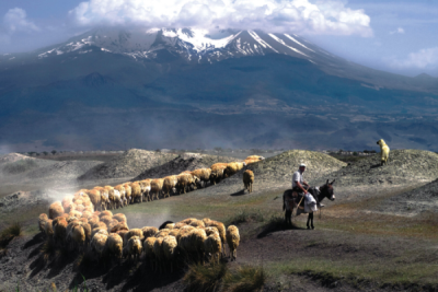 9. TARIM VE İNSAN FOTOĞRAF YARIŞMASI - Celal GEZİCİ