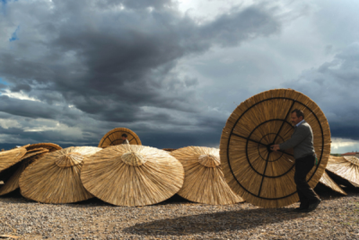 9. TARIM VE İNSAN FOTOĞRAF YARIŞMASI - Dilek SAKARYA