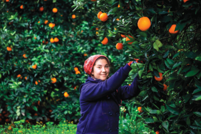 9. TARIM VE İNSAN FOTOĞRAF YARIŞMASI - Ekrem ŞAHİN 