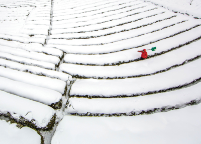 9. TARIM VE İNSAN FOTOĞRAF YARIŞMASI - Erdal YAVUZAK