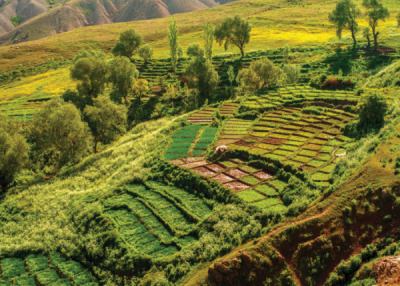 9. TARIM VE İNSAN FOTOĞRAF YARIŞMASI - Erhan AYDIN