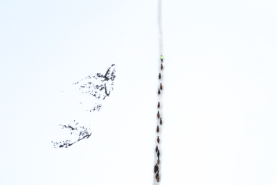 15. TARIM ORMAN VE İNSAN FOTOĞRAF YARIŞMASI - Meral KAYA