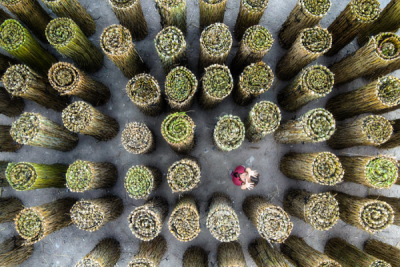 15. TARIM ORMAN VE İNSAN FOTOĞRAF YARIŞMASI - Abdurrahman ÇETİN