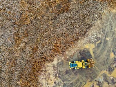 15. TARIM ORMAN VE İNSAN FOTOĞRAF YARIŞMASI - Abdurrahman KURT