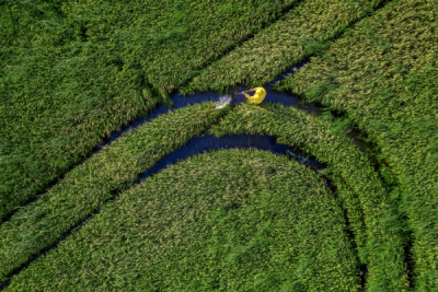 15. TARIM ORMAN VE İNSAN FOTOĞRAF YARIŞMASI - Adil EMEKTAR