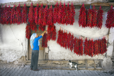 15. TARIM ORMAN VE İNSAN FOTOĞRAF YARIŞMASI - Ahmet Turan KURAL