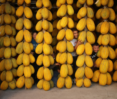 15. TARIM ORMAN VE İNSAN FOTOĞRAF YARIŞMASI - Alev ÜNAL