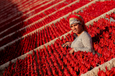 15. TARIM ORMAN VE İNSAN FOTOĞRAF YARIŞMASI - Ayşe ÇALIŞKAN