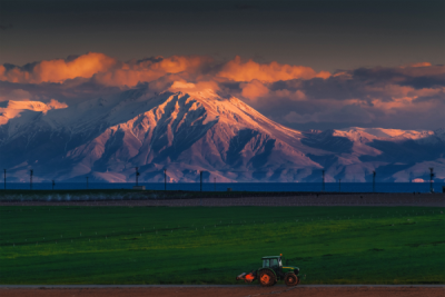 15. TARIM ORMAN VE İNSAN FOTOĞRAF YARIŞMASI - Bahadır SANSARCI