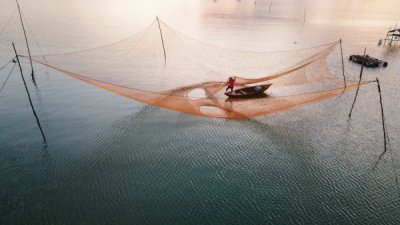 15. TARIM ORMAN VE İNSAN FOTOĞRAF YARIŞMASI - Betül ŞİMŞEK