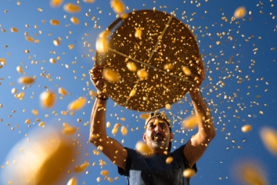 15. TARIM ORMAN VE İNSAN FOTOĞRAF YARIŞMASI - Beytullah ELEŞ