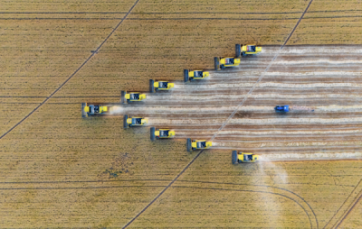 15. TARIM ORMAN VE İNSAN FOTOĞRAF YARIŞMASI - Bünyamin ERAT